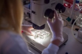 The picture shows a laboratory. Photo by Niklas Björling/Stockholm University.